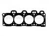 Joint de culasse Cylinder Head Gasket:10111300