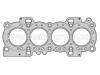 прокладка цилиндра Cylinder Head Gasket:1 100 328