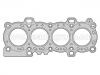 прокладка цилиндра Cylinder Head Gasket:1 229 474