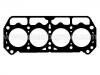 Cylinder Head Gasket:0017507000