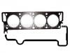 прокладка цилиндра Cylinder Head Gasket:77 01 450 286