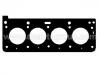 прокладка цилиндра Cylinder Head Gasket:77 00 741 289