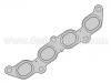 Dichtung, Abgasrohr Exhaust Manifold Gasket:1 031 021