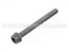Vis de culasse Cylinder Head Bolt:022 103 384 C
