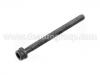 Vis de culasse Cylinder Head Bolt:022 103 384 D