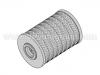 Fuel Filter:08 18 531