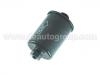 Fuel Filter:25055052