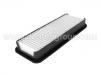 Luftfilter Air Filter:17801-11060
