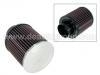 Luftfilter Air Filter:17220-PK2-661