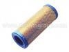 Air Filter:2508301S