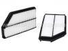 Luftfilter Air Filter:17220-PGK-A00