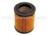 Luftfilter Air Filter:17220-PNA-003
