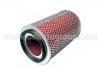 Luftfilter Air Filter:16546-J5570