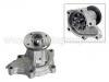 Water Pump:21010-02P25