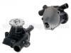 Water Pump:21010-31W26