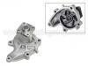 Water Pump:21010-V5528