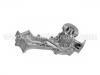 Water Pump:21010-0W026