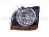 Vorderlicht Headlight:223-1116L-LDEM2