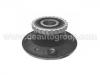 Moyeu de roue Wheel Hub Bearing:77 01 205 499