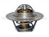Thermostat:21200-99B12