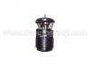 Thermostat:032 121 110 B