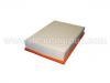 Luftfilter Air Filter:25313348