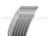 V-Ribbed Belt:6PK1735