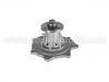 Water Pump:21010-69T02