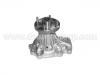 Water Pump:21010-65F01