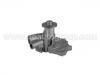 Water Pump:21010-9C600