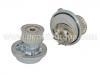 Water Pump:92064250
