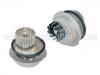 Water Pump:96351284